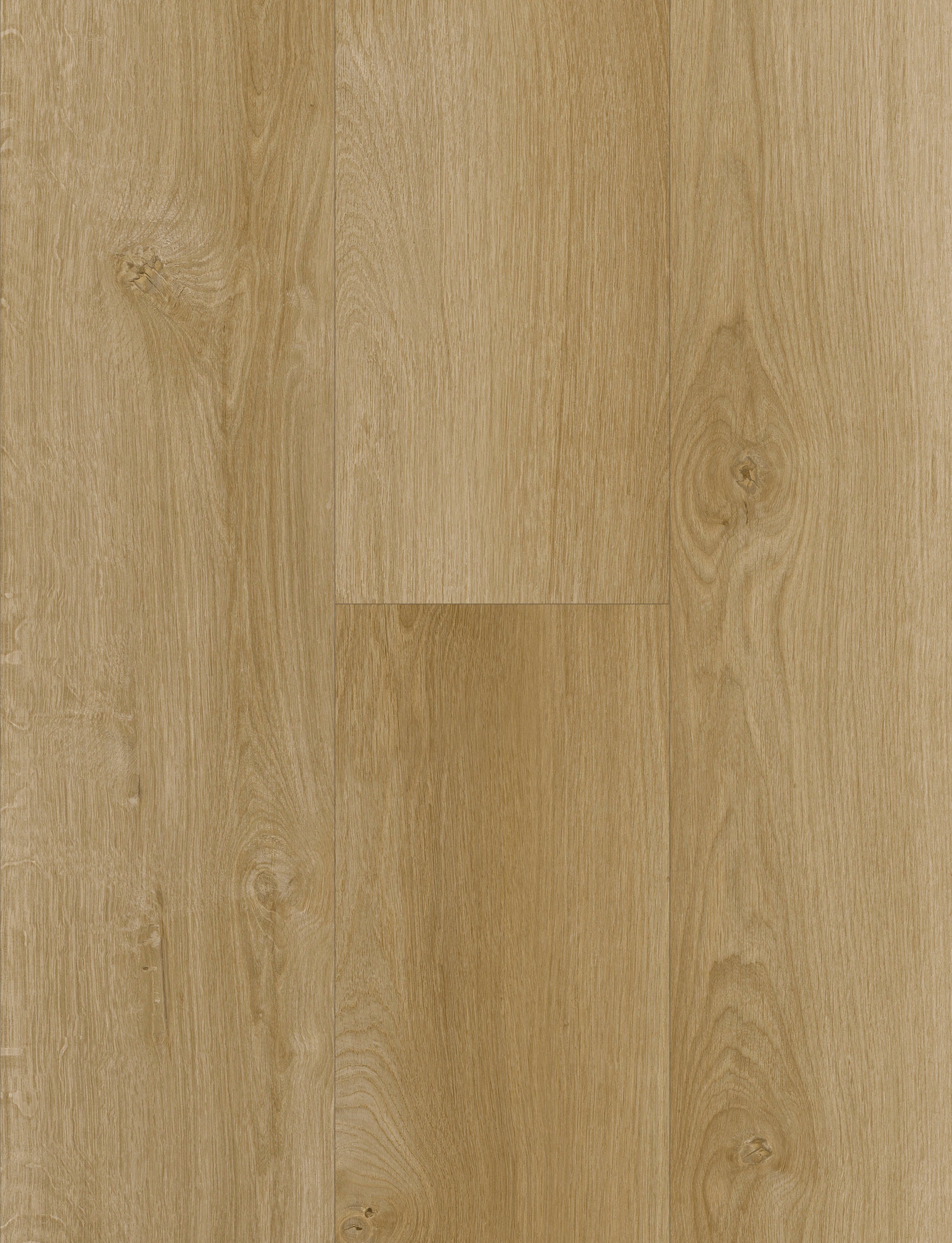 Sol